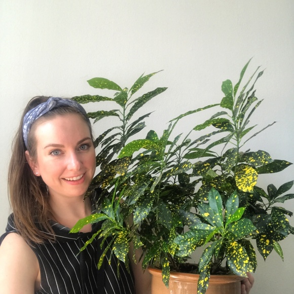 Meet your Posher, Carly - Picture 3 of 6